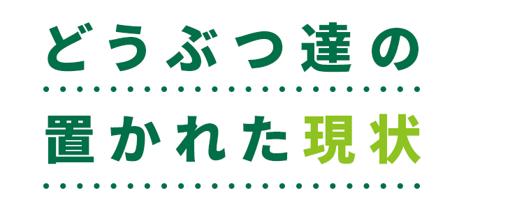 どうぶつ達の置かれた現状