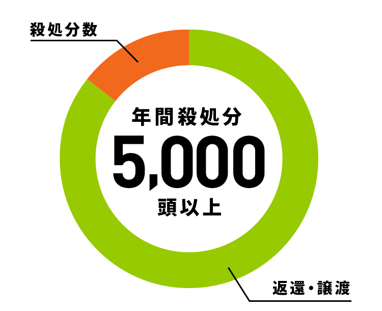 日本における年間の殺処分の数